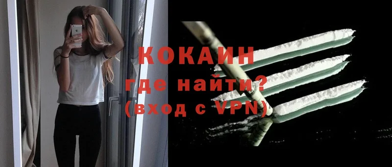 COCAIN Fish Scale  как найти закладки  Буй 